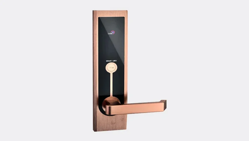 Smart door lock