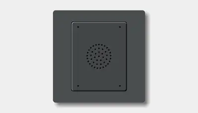 Doorbell tone switch panel