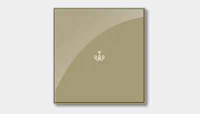Single light switch