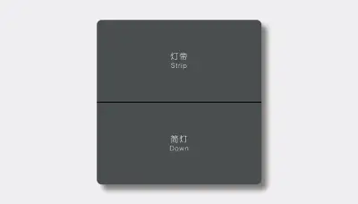 Dual-zone hotel lighting switch