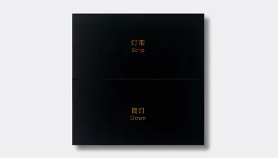 2-gang light switch