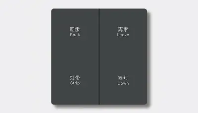 Hotel smart switch panel — Finish C